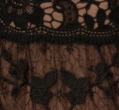 Adrianna Papell Wedding Guest Dresses|Day Dresses*Lace Embroidered V Neck Dress With Elbow Sleeves In Black Nude